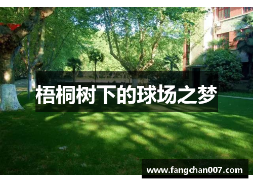 梧桐树下的球场之梦
